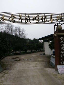 开江鸭苗批发市场；开江花边鸭苗；开江麻鸭苗养殖；求购开江本地鸭苗