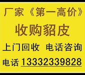 通化回收貂皮貂皮回收著名厂家通化市回收貂皮貂皮回收