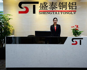 深圳市盛泰铜铝有限公司