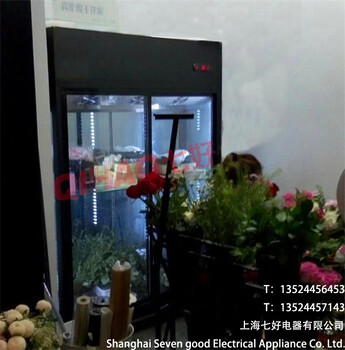 重庆花店展示冷柜鲜花展示柜