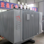 S11-630KVA油浸式变压器泰鑫油变厂图片1