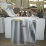S11-630KVA油浸式变压器泰鑫油变厂图片5
