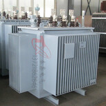 S11-630KVA油浸式变压器泰鑫油变厂图片4