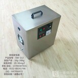 中科三氧厂家直售臭氧发生器SW-112-5g图片4