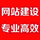 网站建设网络推广网络维护网站优化图片2