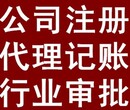 代理记账、工商注册、财务审计、一站式服务图片