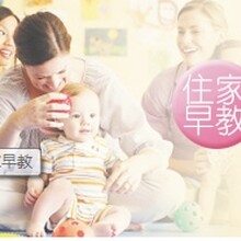 乐迎迎专业生产销售广州保姆，商务服务市场前景值得您的信赖