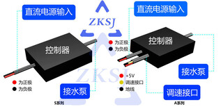 ZKSJ汽车水泵微型热水循环泵奇瑞汽车合作水泵扬程12米流量2800L/H图片5