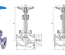 DJ41Y、DJ41W型PN16~PN40低温截止阀
