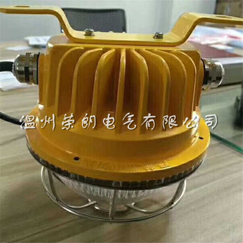 供應(yīng)RLB8183固態(tài)免維護防爆燈