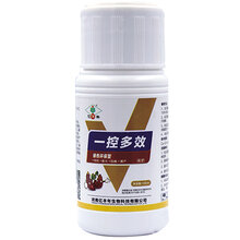 别再用矮壮素了,红薯专用控旺药一控多效,确保大丰收图片