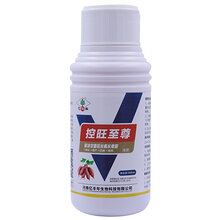 红薯秧旺长不要慌!掌握控旺规律,选对药剂巧控旺图片