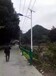 安徽太阳能路灯5米案例-江苏路灯厂供应-质量保证