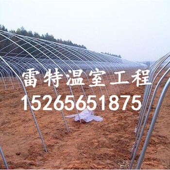 承建大棚骨架建設(shè)鋼架大棚價格使用壽命長