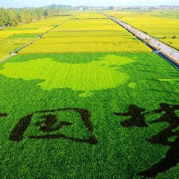 生态休闲农业园区设计规划建设