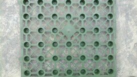 蓄储塑料排水板 PVC防排渗水板 屋顶绿化排水板卷材图片1