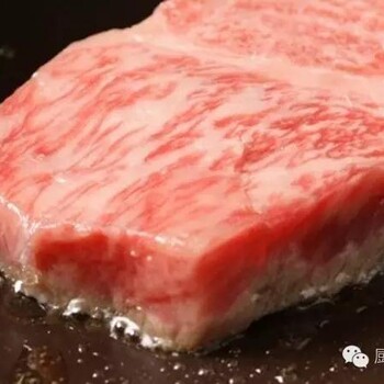 日本本土牛肉見島牛肉就用華騰果木牛排爐；果木爐、果木牛扒爐
