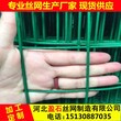 波浪护栏网浸塑荷兰网护栏可加工定做