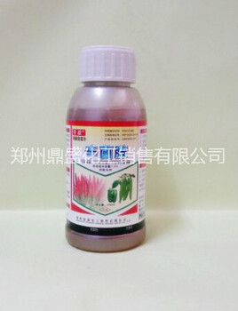 辣椒殺菌劑辣椒鎖菌凈防治立枯病、猝倒病、炭疽病