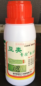 供應(yīng)豆角調(diào)節(jié)劑豆角?？囟菇悄壑遍L(zhǎng)豆角增莢多