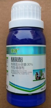醚菌酯治療草莓炭疽病番茄早疫病殺菌劑治療葡萄白粉病梨樹(shù)黑星病效果好