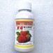 草莓自然催红汁多饱满口感香甜颜色均匀安全无激素无畸形果空心果