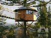 树屋旅馆/20平米左右/木结构树屋