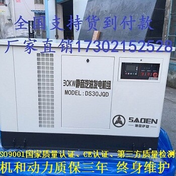 车载应急静音发电机设备萨登DS25JQD天然气发电机