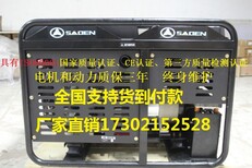 萨登300A汽油发电电焊机DS300A图片1