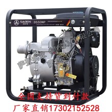 薩登2寸柴油化工泵抽酸堿性液體化工泵DS50HPE價格圖片
