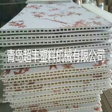 塑料板材设备PVC扣板挤出生产线PVC竹木纤维墙板生产线图片