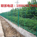 乐东养殖围栏网价格昌江公路隔离网价格海口铁丝网厂家