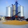 大力發展小麥烘干機產業的必要性