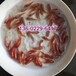 湖南张家界锦鲤鱼苗江西九江革胡子鲶鱼苗埃及胡子鲶鱼苗批发