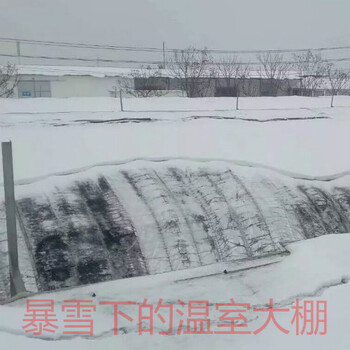 建温室大棚千万不要省材料啊看这大棚大雪压得