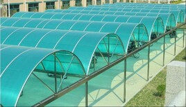 河北保定海塑厂家中空阳光板耐力板优惠图片5