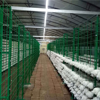 出菇房蘑菇網(wǎng)片_出菇房蘑菇網(wǎng)片價(jià)格_出菇房蘑菇網(wǎng)片廠家