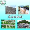 江蘇南京公路邊坡護坡綠化噴播專用高次團粒劑
