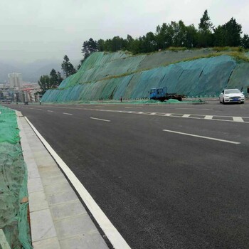 广东广州大量批发团粒剂道路两旁修复边坡喷播植稳定剂