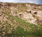 山西太原公路边坡护坡绿化岩石、硬质土喷播团粒剂