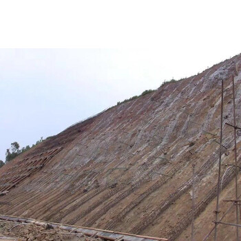 大量现货销售喷播护坡土壤粘合剂