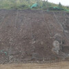 江西土壤粘合劑礦山修復山體噴播綠化植草