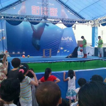 萌寵表演江湖馬戲團海洋生物出租表演