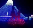 灯光造型制作上海厂家直销梦幻灯光节造型美景图片