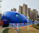 鲸鱼岛游玩项目租赁直销上海气模工厂专业商业活动展