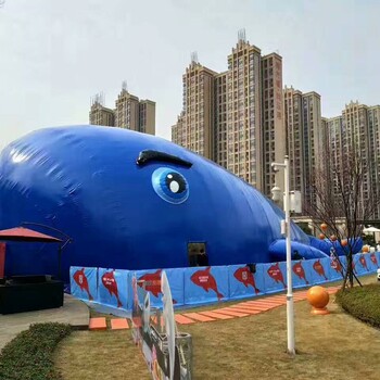 鲸鱼岛游玩项目租赁上海气模工厂商业活动展