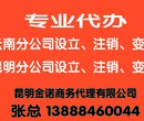 楚雄公司注册那家强I，楚雄营业执照办理