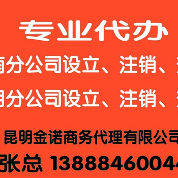 楚雄分公司注册需要什么材料？