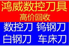 肇庆合金钻头钨铰丝钨铰丝公司图片2