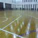 台州枫木运动实木地板室内篮球运动地板